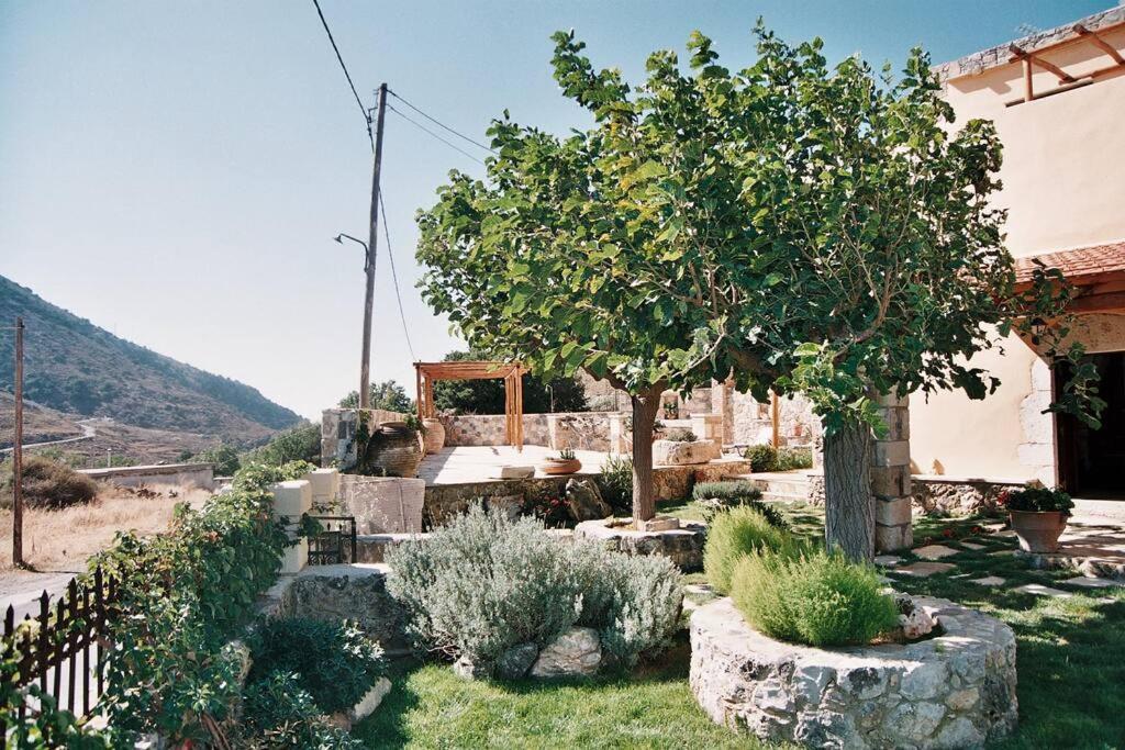 Traditional Villa With Pool In Sfakia Imbros المظهر الخارجي الصورة